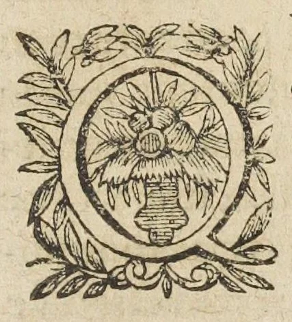 An illustration from L'abregé des secrets chymiques ou l'on void la nature des animaux vegetaux & mineraux entierement découverte : avec les vertus et proprietez des principes qui composent & conservent leur estre; & un traitté de la medecine generale. Par M. Pierre Jean Fabre, docteur en la faculté de medecine de l'université de Montpellier., 1636, leaf 221