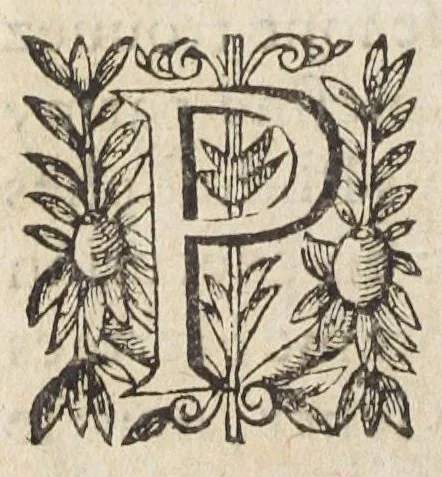 An illustration from L'abregé des secrets chymiques ou l'on void la nature des animaux vegetaux & mineraux entierement découverte : avec les vertus et proprietez des principes qui composent & conservent leur estre; & un traitté de la medecine generale. Par M. Pierre Jean Fabre, docteur en la faculté de medecine de l'université de Montpellier., 1636, leaf 28