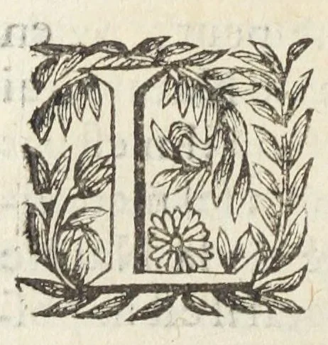 An illustration from L'abregé des secrets chymiques ou l'on void la nature des animaux vegetaux & mineraux entierement découverte : avec les vertus et proprietez des principes qui composent & conservent leur estre; & un traitté de la medecine generale. Par M. Pierre Jean Fabre, docteur en la faculté de medecine de l'université de Montpellier., 1636, leaf 284
