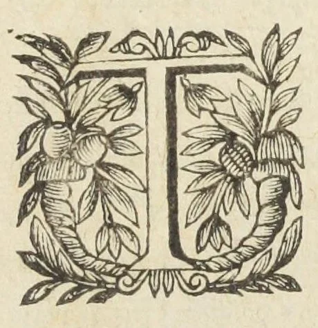 An illustration from L'abregé des secrets chymiques ou l'on void la nature des animaux vegetaux & mineraux entierement découverte : avec les vertus et proprietez des principes qui composent & conservent leur estre; & un traitté de la medecine generale. Par M. Pierre Jean Fabre, docteur en la faculté de medecine de l'université de Montpellier., 1636, leaf 289
