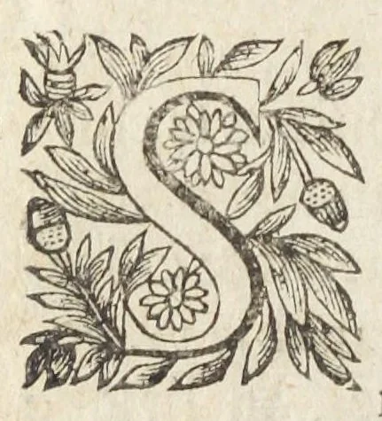 An illustration from L'abregé des secrets chymiques ou l'on void la nature des animaux vegetaux & mineraux entierement découverte : avec les vertus et proprietez des principes qui composent & conservent leur estre; & un traitté de la medecine generale. Par M. Pierre Jean Fabre, docteur en la faculté de medecine de l'université de Montpellier., 1636, leaf 298