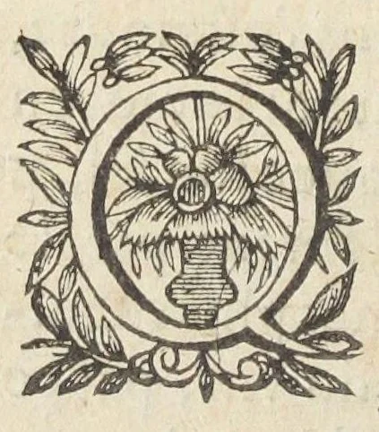 An illustration from L'abregé des secrets chymiques ou l'on void la nature des animaux vegetaux & mineraux entierement découverte : avec les vertus et proprietez des principes qui composent & conservent leur estre; & un traitté de la medecine generale. Par M. Pierre Jean Fabre, docteur en la faculté de medecine de l'université de Montpellier., 1636, leaf 342