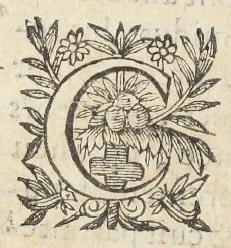 An illustration from L'abregé des secrets chymiques ou l'on void la nature des animaux vegetaux & mineraux entierement découverte : avec les vertus et proprietez des principes qui composent & conservent leur estre; & un traitté de la medecine generale. Par M. Pierre Jean Fabre, docteur en la faculté de medecine de l'université de Montpellier., 1636, leaf 348