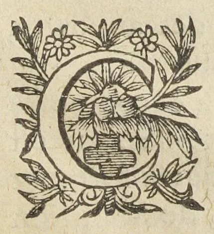 An illustration from L'abregé des secrets chymiques ou l'on void la nature des animaux vegetaux & mineraux entierement découverte : avec les vertus et proprietez des principes qui composent & conservent leur estre; & un traitté de la medecine generale. Par M. Pierre Jean Fabre, docteur en la faculté de medecine de l'université de Montpellier., 1636, leaf 363