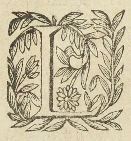 An illustration from L'abregé des secrets chymiques ou l'on void la nature des animaux vegetaux & mineraux entierement découverte : avec les vertus et proprietez des principes qui composent & conservent leur estre; & un traitté de la medecine generale. Par M. Pierre Jean Fabre, docteur en la faculté de medecine de l'université de Montpellier., 1636, leaf 369