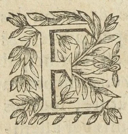 An illustration from L'abregé des secrets chymiques ou l'on void la nature des animaux vegetaux & mineraux entierement découverte : avec les vertus et proprietez des principes qui composent & conservent leur estre; & un traitté de la medecine generale. Par M. Pierre Jean Fabre, docteur en la faculté de medecine de l'université de Montpellier., 1636, leaf 375