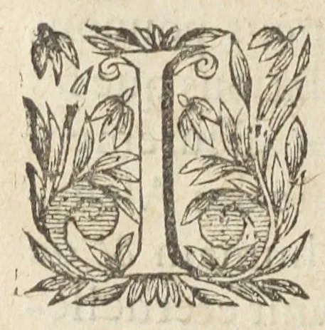 An illustration from L'abregé des secrets chymiques ou l'on void la nature des animaux vegetaux & mineraux entierement découverte : avec les vertus et proprietez des principes qui composent & conservent leur estre; & un traitté de la medecine generale. Par M. Pierre Jean Fabre, docteur en la faculté de medecine de l'université de Montpellier., 1636, leaf 382