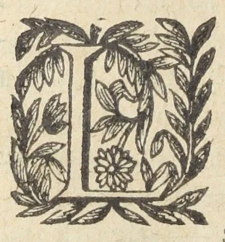 An illustration from L'abregé des secrets chymiques ou l'on void la nature des animaux vegetaux & mineraux entierement découverte : avec les vertus et proprietez des principes qui composent & conservent leur estre; & un traitté de la medecine generale. Par M. Pierre Jean Fabre, docteur en la faculté de medecine de l'université de Montpellier., 1636, leaf 390