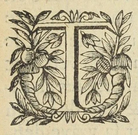 An illustration from L'abregé des secrets chymiques ou l'on void la nature des animaux vegetaux & mineraux entierement découverte : avec les vertus et proprietez des principes qui composent & conservent leur estre; & un traitté de la medecine generale. Par M. Pierre Jean Fabre, docteur en la faculté de medecine de l'université de Montpellier., 1636, leaf 53