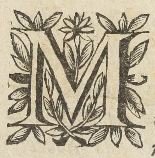 An illustration from L'abregé des secrets chymiques ou l'on void la nature des animaux vegetaux & mineraux entierement découverte : avec les vertus et proprietez des principes qui composent & conservent leur estre; & un traitté de la medecine generale. Par M. Pierre Jean Fabre, docteur en la faculté de medecine de l'université de Montpellier., 1636, leaf 7