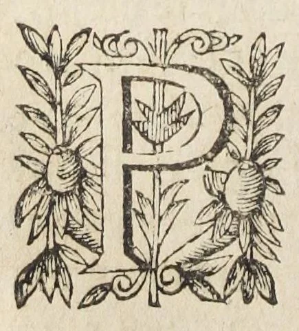 An illustration from L'abregé des secrets chymiques ou l'on void la nature des animaux vegetaux & mineraux entierement découverte : avec les vertus et proprietez des principes qui composent & conservent leur estre; & un traitté de la medecine generale. Par M. Pierre Jean Fabre, docteur en la faculté de medecine de l'université de Montpellier., 1636, leaf 76