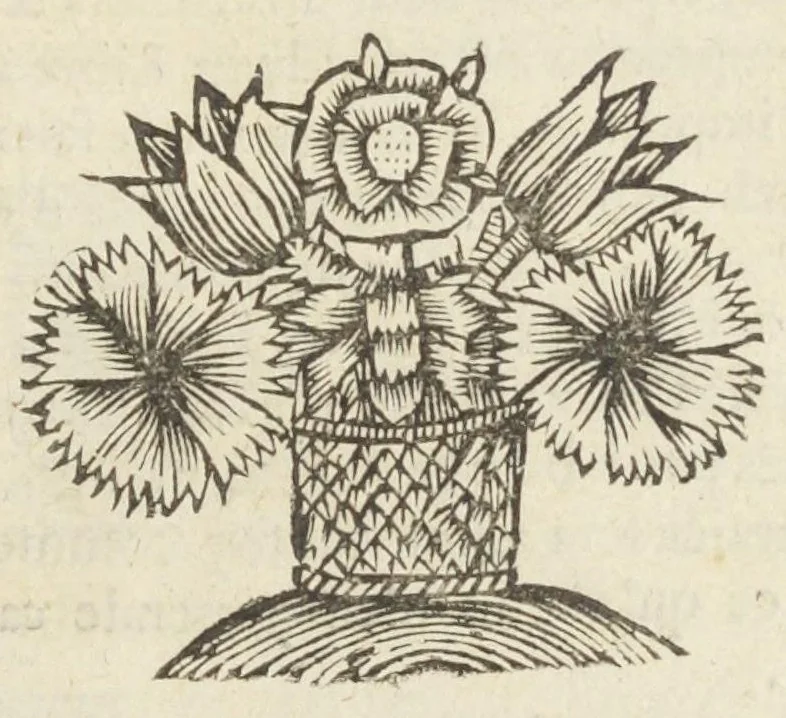 An illustration from Les sept livres de la therapeutique universelle de Messire Jean Fernel, premier medecine de Henry II, & docteur regent en medecine de la faculté de Paris. Ouvrage tres-utiles & necessaire, pour l'usage & la pratique de la medecine dogmatique. Mis en françois, par le sieur Du Teil., 1650, leaf 15