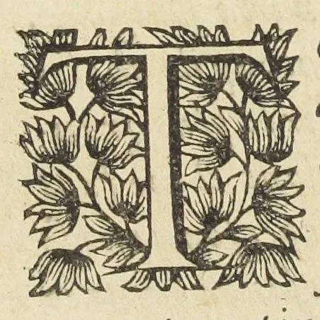 An illustration from Les sept livres de la therapeutique universelle de Messire Jean Fernel, premier medecine de Henry II, & docteur regent en medecine de la faculté de Paris. Ouvrage tres-utiles & necessaire, pour l'usage & la pratique de la medecine dogmatique. Mis en françois, par le sieur Du Teil., 1650, leaf 241
