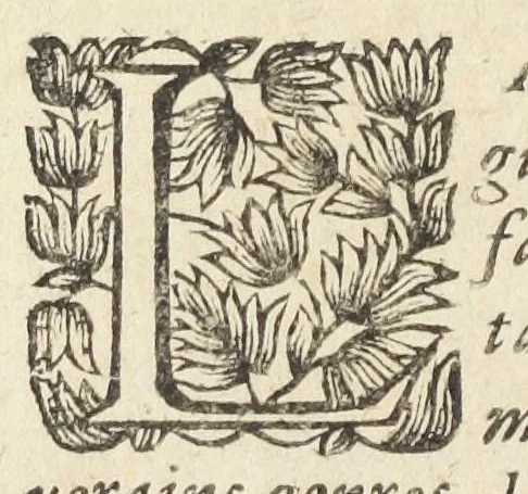 An illustration from Les sept livres de la therapeutique universelle de Messire Jean Fernel, premier medecine de Henry II, & docteur regent en medecine de la faculté de Paris. Ouvrage tres-utiles & necessaire, pour l'usage & la pratique de la medecine dogmatique. Mis en françois, par le sieur Du Teil., 1650, leaf 484