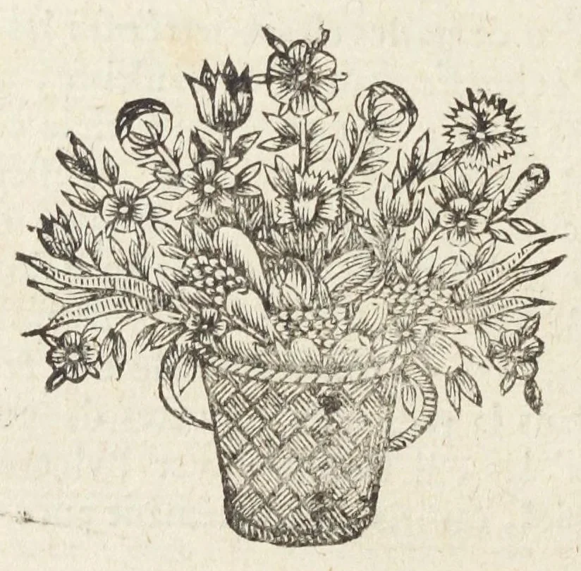 An illustration from Les sept livres de la therapeutique universelle de Messire Jean Fernel, premier medecine de Henry II, & docteur regent en medecine de la faculté de Paris. Ouvrage tres-utiles & necessaire, pour l'usage & la pratique de la medecine dogmatique. Mis en françois, par le sieur Du Teil., 1650, leaf 578
