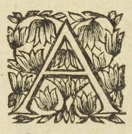 An illustration from Les sept livres de la therapeutique universelle de Messire Jean Fernel, premier medecine de Henry II, & docteur regent en medecine de la faculté de Paris. Ouvrage tres-utiles & necessaire, pour l'usage & la pratique de la medecine dogmatique. Mis en françois, par le sieur Du Teil., 1650, leaf 67