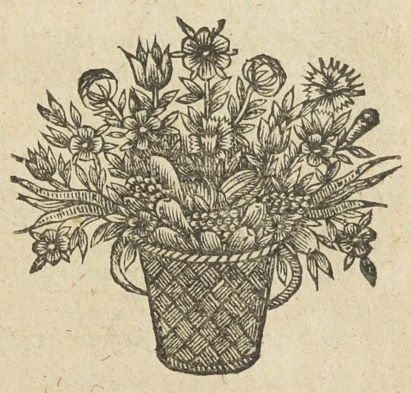 An illustration from Les sept livres de la therapeutique universelle de Messire Jean Fernel, premier medecine de Henry II, & docteur regent en medecine de la faculté de Paris. Ouvrage tres-utiles & necessaire, pour l'usage & la pratique de la medecine dogmatique. Mis en françois, par le sieur Du Teil., 1650, leaf 699