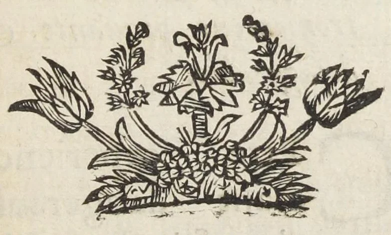 An illustration from Recueil d'experiences et observations sur le combat, qui procede du mélange des corps. Sur les saveurs, sur les odeurs, sur le sang, sur le lait, &c. Tres-curieux & utile aux medecins & à ceux qui s'appliquent à la recherche de la nature, des qualitez & des proprietez de toutes sortes de corps, 1679, leaf 173