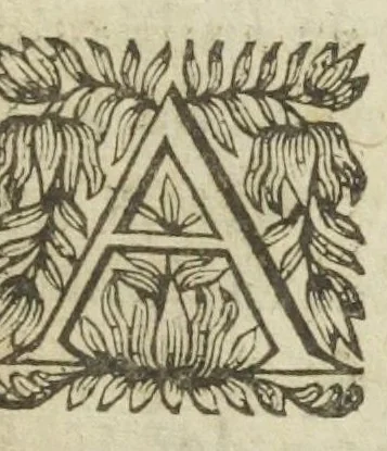 An illustration from Les elemens de la philosophie de l'art du feu ou chemie. Contenant les plus belles observations qui se rencontrent dans la resolution, preparation, & exhibition des vegetaux, animaux, & mineraux, & les remedes contre toutes les maladies du corps humain, comme aussi la metallique, appliquée à la theorie, par une verité fondée sur une necessité geometrique, & démonstrée à la maniere d'Euclides. Oeuvre nouveau, & tres-necessaire à tous ceux sui se proposent ietter de bons fondemens pour apprendre la philosophie, medecine, chirurgie, & pharmacie. Traduit du Latin du sieur Davissone, escuyer, conseiller, medecin du Roi, & intendant de la Maison & jardins royal des plantes medicinales, au faux-bourg S. Victore à Paris. Par Iean Hellot, maistre chirurgien à Paris, 1651, leaf 41
