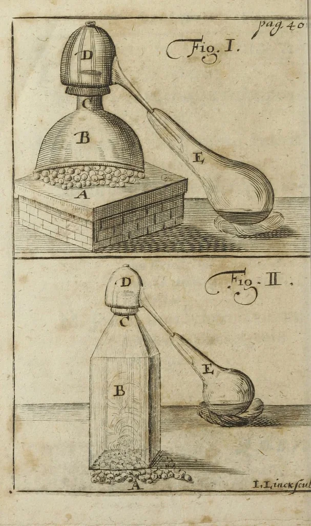 An illustration from Georgii Wolffgangi Wedelii, D. Professoris Publici, & medici ducalis saxonici, Experimentum chimicum novum de sale volatili plantarum quo latius exponuntur, specimine ipso exhibita., 1682, leaf 23