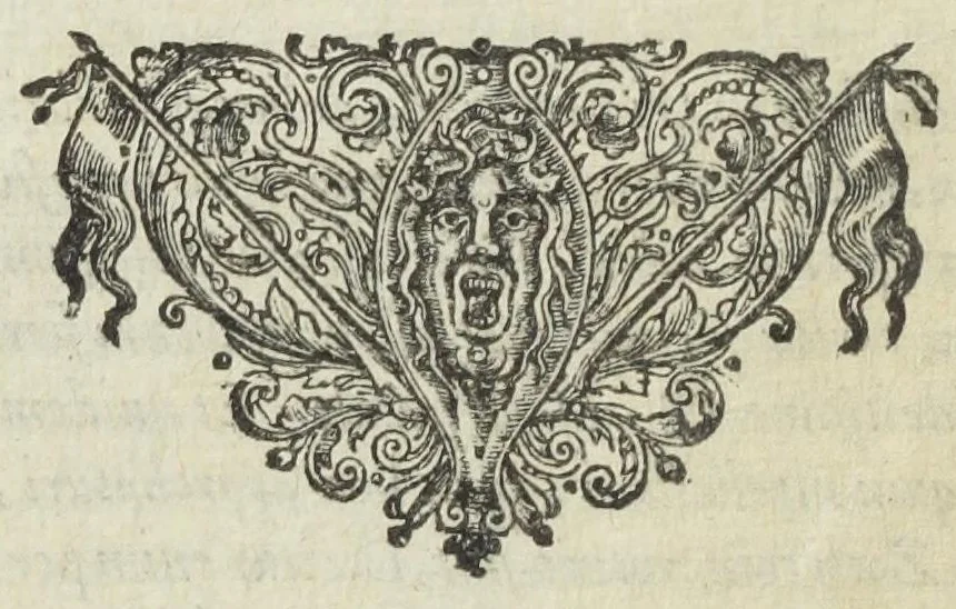 An illustration from Furni novi philosophici, sive Descriptio artis destillatoriae novæ ; spirituum, oleorum florum, aliorumque medicamentorum illius beneficio facillimâ quâdam & peculiari viâ è vegetabilibus, animalibus, & mineralibus, conficiendorum & quidem magno cum lucro ; agens quoque de illorum usu tam chymico quàm medico, edita & publicata ub gratiam veritatis studiosorum. Per Joannem Rudolphum Glauberum., 1658, leaf 10