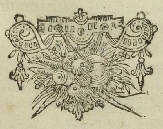 An illustration from Furni novi philosophici, sive Descriptio artis destillatoriae novæ ; spirituum, oleorum florum, aliorumque medicamentorum illius beneficio facillimâ quâdam & peculiari viâ è vegetabilibus, animalibus, & mineralibus, conficiendorum & quidem magno cum lucro ; agens quoque de illorum usu tam chymico quàm medico, edita & publicata ub gratiam veritatis studiosorum. Per Joannem Rudolphum Glauberum., 1658, leaf 233