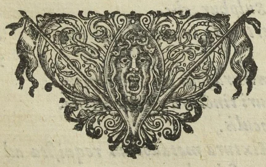 An illustration from Furni novi philosophici, sive Descriptio artis destillatoriae novæ ; spirituum, oleorum florum, aliorumque medicamentorum illius beneficio facillimâ quâdam & peculiari viâ è vegetabilibus, animalibus, & mineralibus, conficiendorum & quidem magno cum lucro ; agens quoque de illorum usu tam chymico quàm medico, edita & publicata ub gratiam veritatis studiosorum. Per Joannem Rudolphum Glauberum., 1658, leaf 373