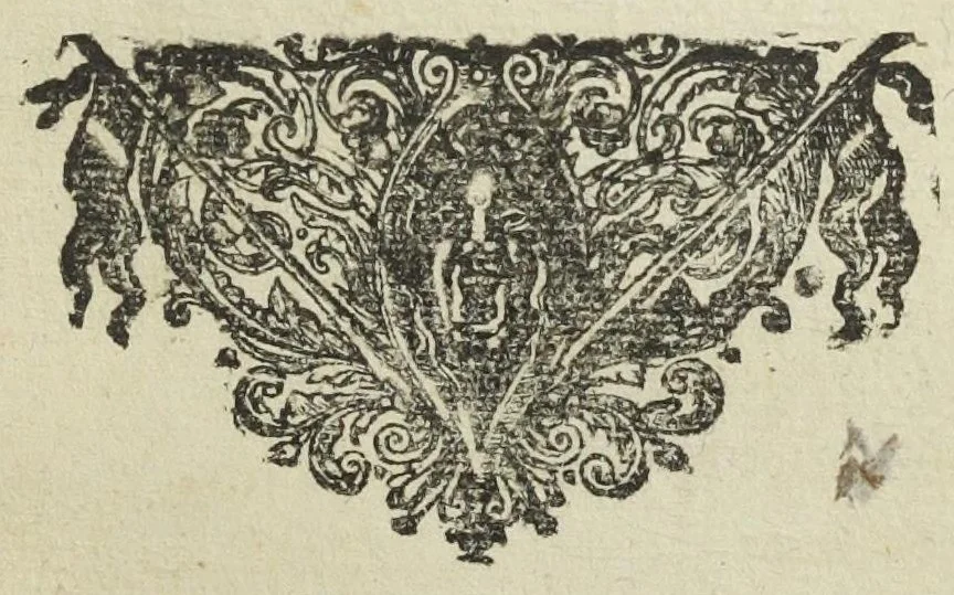 An illustration from Furni novi philosophici, sive Descriptio artis destillatoriae novæ ; spirituum, oleorum florum, aliorumque medicamentorum illius beneficio facillimâ quâdam & peculiari viâ è vegetabilibus, animalibus, & mineralibus, conficiendorum & quidem magno cum lucro ; agens quoque de illorum usu tam chymico quàm medico, edita & publicata ub gratiam veritatis studiosorum. Per Joannem Rudolphum Glauberum., 1658, leaf 375