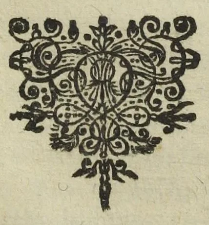 An illustration from Furni novi philosophici, sive Descriptio artis destillatoriae novæ ; spirituum, oleorum florum, aliorumque medicamentorum illius beneficio facillimâ quâdam & peculiari viâ è vegetabilibus, animalibus, & mineralibus, conficiendorum & quidem magno cum lucro ; agens quoque de illorum usu tam chymico quàm medico, edita & publicata ub gratiam veritatis studiosorum. Per Joannem Rudolphum Glauberum., 1658, leaf 379