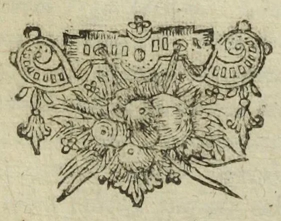 An illustration from Furni novi philosophici, sive Descriptio artis destillatoriae novæ ; spirituum, oleorum florum, aliorumque medicamentorum illius beneficio facillimâ quâdam & peculiari viâ è vegetabilibus, animalibus, & mineralibus, conficiendorum & quidem magno cum lucro ; agens quoque de illorum usu tam chymico quàm medico, edita & publicata ub gratiam veritatis studiosorum. Per Joannem Rudolphum Glauberum., 1658, leaf 435