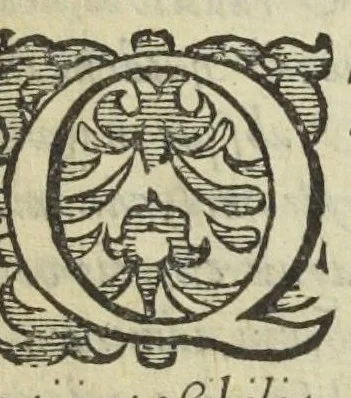 An illustration from Furni novi philosophici, sive Descriptio artis destillatoriae novæ ; spirituum, oleorum florum, aliorumque medicamentorum illius beneficio facillimâ quâdam & peculiari viâ è vegetabilibus, animalibus, & mineralibus, conficiendorum & quidem magno cum lucro ; agens quoque de illorum usu tam chymico quàm medico, edita & publicata ub gratiam veritatis studiosorum. Per Joannem Rudolphum Glauberum., 1658, leaf 7