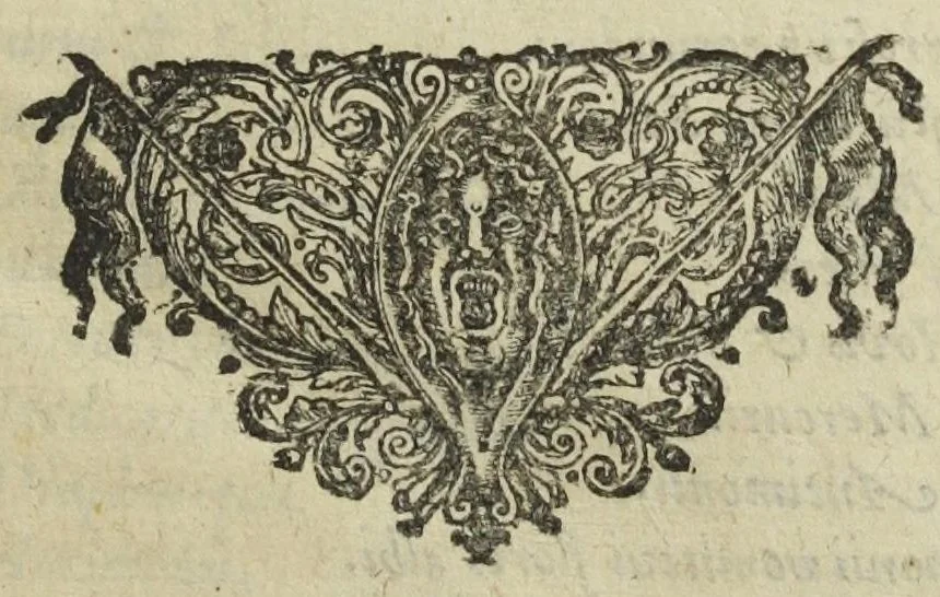 An illustration from Furni novi philosophici, sive Descriptio artis destillatoriae novæ ; spirituum, oleorum florum, aliorumque medicamentorum illius beneficio facillimâ quâdam & peculiari viâ è vegetabilibus, animalibus, & mineralibus, conficiendorum & quidem magno cum lucro ; agens quoque de illorum usu tam chymico quàm medico, edita & publicata ub gratiam veritatis studiosorum. Per Joannem Rudolphum Glauberum., 1658, leaf 73