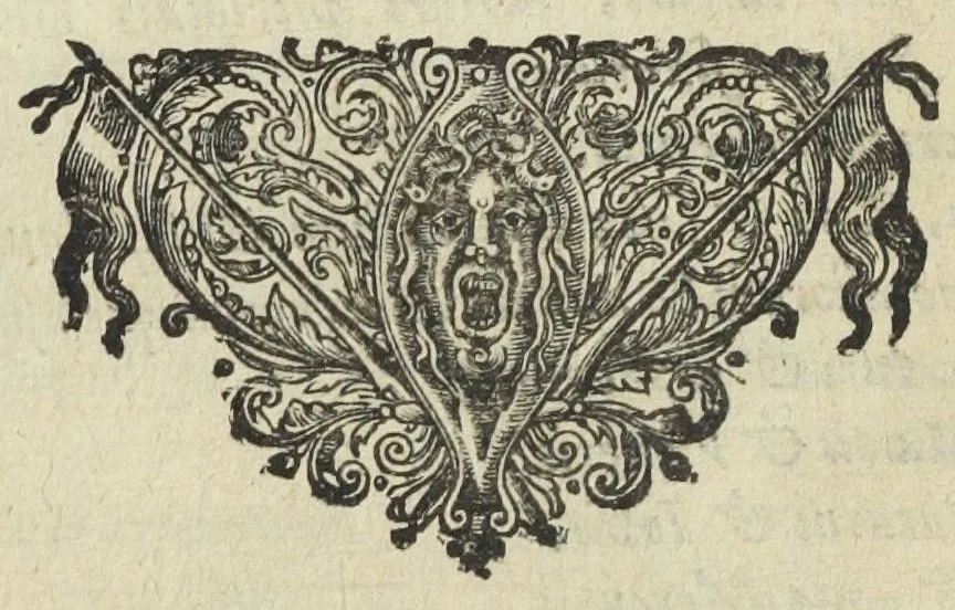 An illustration from Furni novi philosophici, sive Descriptio artis destillatoriae novæ ; spirituum, oleorum florum, aliorumque medicamentorum illius beneficio facillimâ quâdam & peculiari viâ è vegetabilibus, animalibus, & mineralibus, conficiendorum & quidem magno cum lucro ; agens quoque de illorum usu tam chymico quàm medico, edita & publicata ub gratiam veritatis studiosorum. Per Joannem Rudolphum Glauberum., 1658, leaf 76
