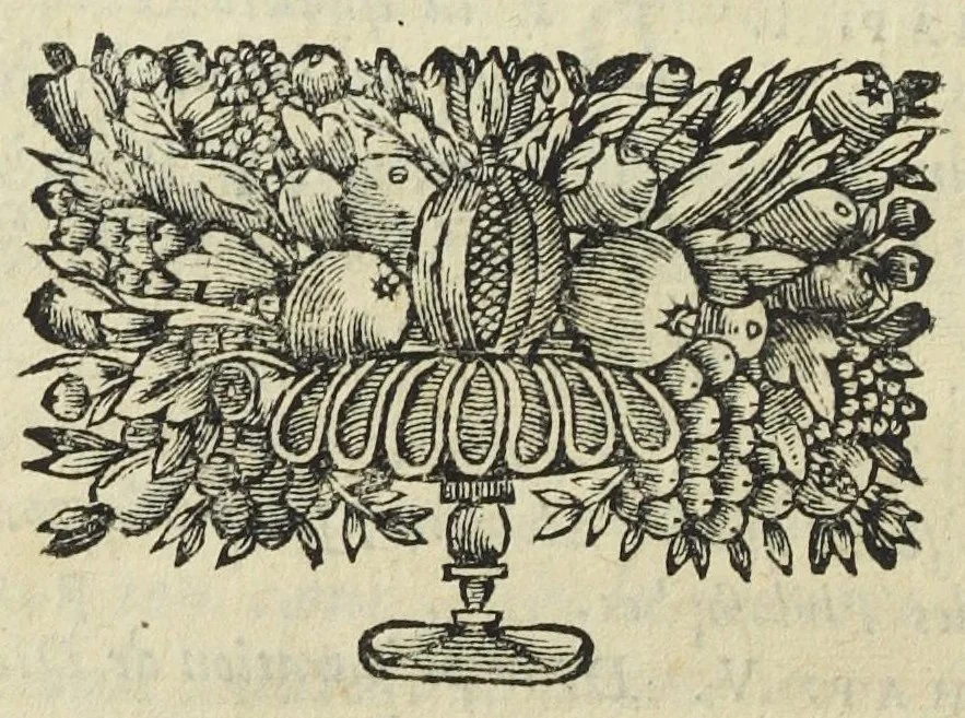 An illustration from Cosmopolite ou nouvelle lumière chymique, pour servir d'éclaircissement aux trois principes de la nature, exactement décrits dans les trois traitez suivans. Le I. traite du mercure. Le II du soûfre. & le III. du vray sel des philosophes. Derniere edition, revûë & augmentée des lettres philosophiques du mesme auteur., 1691, leaf 266
