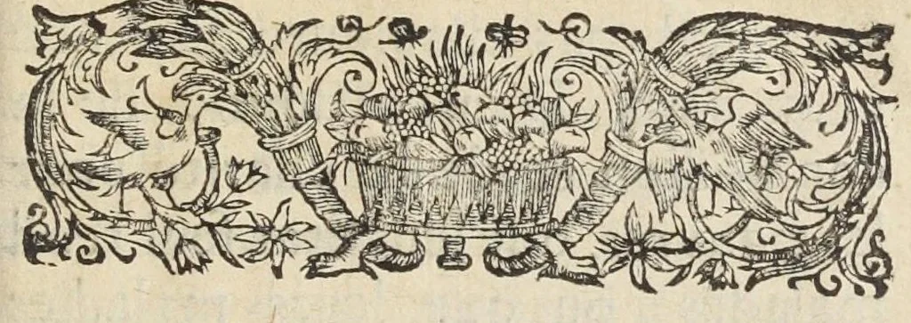An illustration from Secrets touchant la medecine, 1678, leaf 7