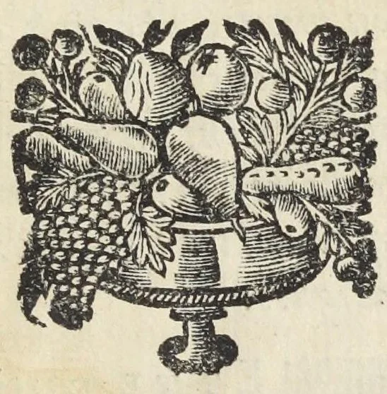 An illustration from Traité de la circulation des esprits animaux. Divisé en quatre parties. Par un religieux de la Congregation de Saint-Maur., 1682, leaf 127