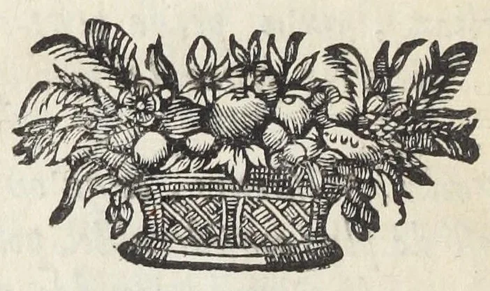 An illustration from Traité de la circulation des esprits animaux. Divisé en quatre parties. Par un religieux de la Congregation de Saint-Maur., 1682, leaf 28