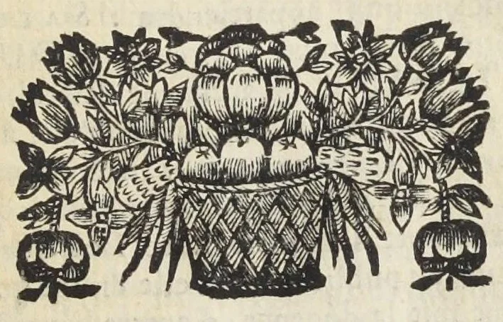 An illustration from Traité de la circulation des esprits animaux. Divisé en quatre parties. Par un religieux de la Congregation de Saint-Maur., 1682, leaf 43