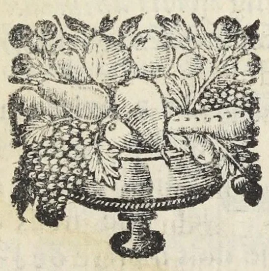 An illustration from Traité de la circulation des esprits animaux. Divisé en quatre parties. Par un religieux de la Congregation de Saint-Maur., 1682, leaf 75
