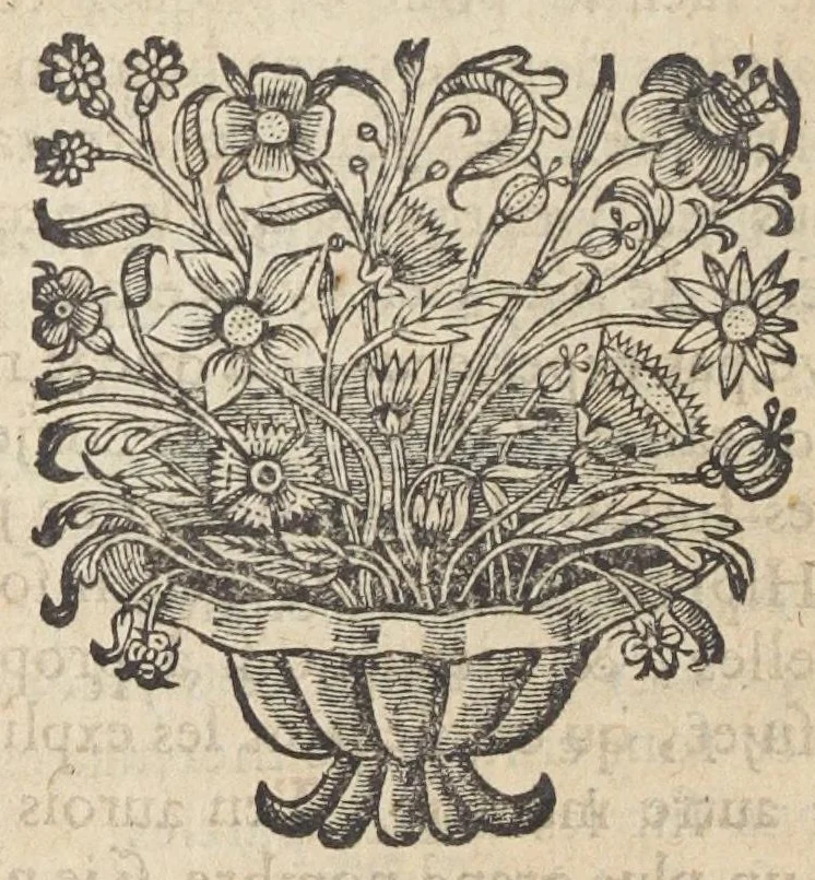 An illustration from Reflexions nouvelles sur les causes des maladies, et de leurs symptomes. Par Monsieur de Saint André docteur en medecine de la faculté de Caën., 1687, leaf 408