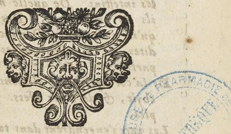 An illustration from Reflexions nouvelles sur les causes des maladies, et de leurs symptomes. Par Monsieur de Saint André docteur en medecine de la faculté de Caën., 1687, leaf 445