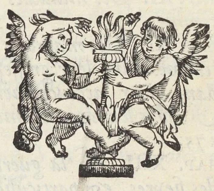 An illustration from La medecine abbregée en faveur des pauvres. Fondée sur trois pastes purgatives, ou vomitives, données à propos, & sur plusieurs autres remedes, faciles, & à peu de frais, concourans à la guerison, ou au soulagement de leurs principales maladies internes. Avec une Chirurgie, abbregée également propre à guerir, ou à soulager leurs maux externes. Par Mr Dubé Docteur en Médecine., 1692, leaf 46