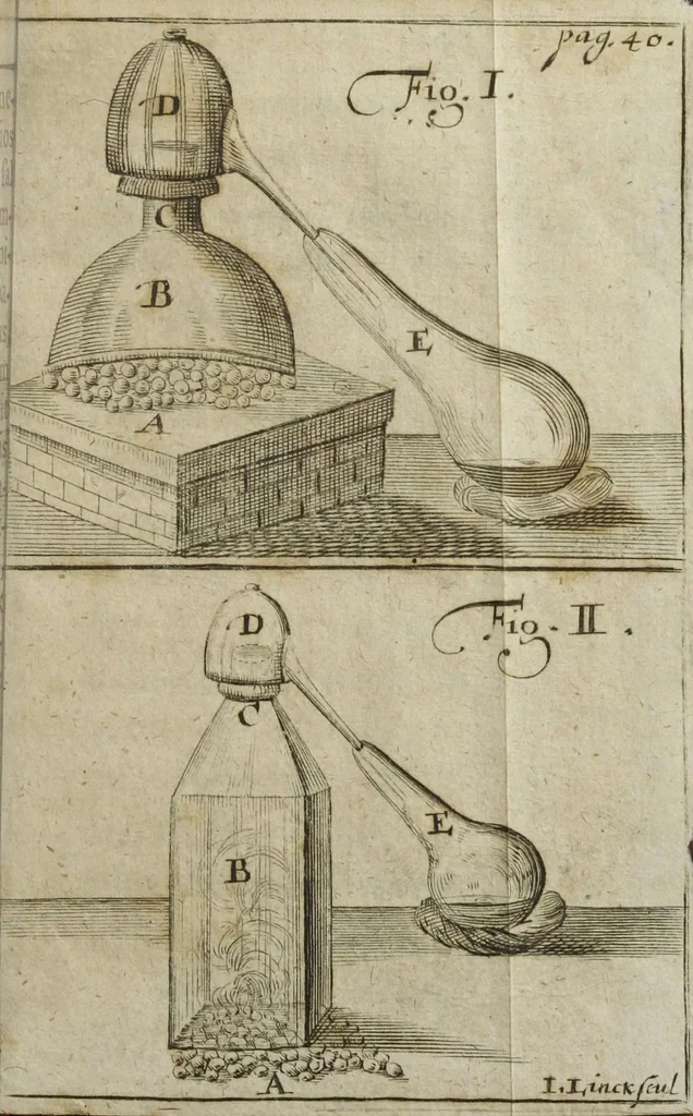 An illustration from Georgii Wolffgangi Wedelii, D. Professoris Publici, & medici ducalis saxonici, Experimentum chimicum novum de sale volatili plantarum quo latius exponuntur, specimine ipso exhibita., 1682, leaf 67