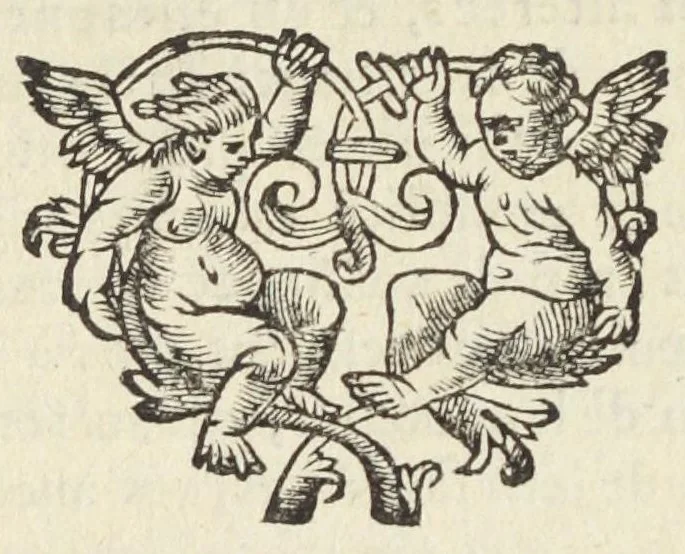 An illustration from Le Secret des eaux minerales acides, nouvellement découvert par une méthode admirable & facile, qui fait voir quels sont les mineraux qui se meslent avec les eaux de Provins, de Spa, de Forges, de Pougues, de Chasteauthierry, d'Auteuil, de Passy, d'Ancosse, de Sainte Reine; & qui montre que l'opinion commune touchant l'acidité des eaux minerales, ne peut subsister. Avec les lettres de monsieur de Sartes Docteur en la Faculté de medecine de Paris, & de monsieur Cattier Docteur en l'Université de medecine de Montpellier, Conseiller & medecin ordinaire du Roy, qui combattent l'opinion de l'autheur, ausquelles il rêpond. Par P. Le Givre, medecin, 1667, leaf 102