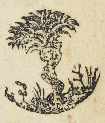 An illustration from Le secret des bains et eaux minerales de Vichy en Bourbonnois, découvert par Claude Fouet, docteur en medecine, natif du mesme lieu. Dans lequel sont contenuës beaucoup de recherches & pensées curieuses, utiles & necessaires pour les malades qui ont besoi, 1686, leaf 5