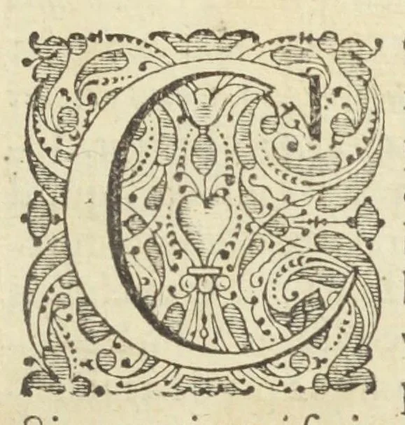 An illustration from Ortus medicinae. Id est, initia physicae inaudita. Progressus medicinæ novus, in morborum ultionem, ad vitam longam. Authore Ioanne Baptista Van Helmont, toparchâ in Merode, Royenborch, Oorschot, Pellines, &c. Edente authoris filio, Francisco Mercvrio Van Helmont, cum ejus præfatione ex Belgico translatâ, 1648, leaf 13
