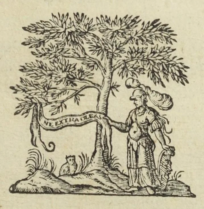 An illustration from Ortus medicinae. Id est, initia physicae inaudita. Progressus medicinæ novus, in morborum ultionem, ad vitam longam. Authore Ioanne Baptista Van Helmont, toparchâ in Merode, Royenborch, Oorschot, Pellines, &c. Edente authoris filio, Francisco Mercvrio Van Helmont, cum ejus præfatione ex Belgico translatâ, 1648, leaf 5