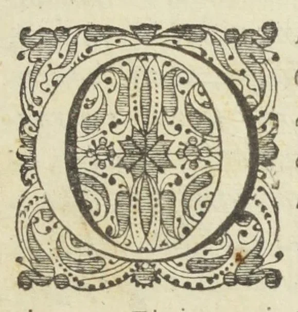 An illustration from Ortus medicinae. Id est, initia physicae inaudita. Progressus medicinæ novus, in morborum ultionem, ad vitam longam. Authore Ioanne Baptista Van Helmont, toparchâ in Merode, Royenborch, Oorschot, Pellines, &c. Edente authoris filio, Francisco Mercvrio Van Helmont, cum ejus præfatione ex Belgico translatâ, 1648, leaf 7