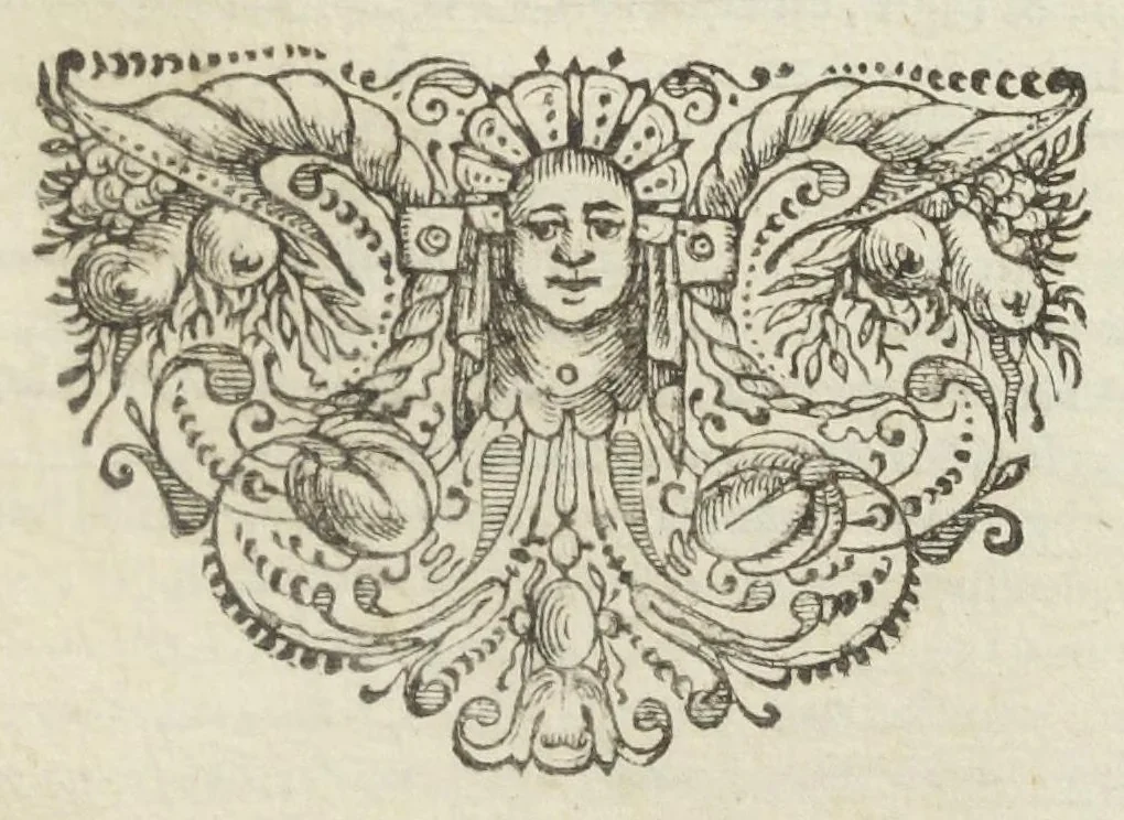 An illustration from Joannis Baptistæ Van Helmont, toparchæ in Royenboch, Pellines, &c. Opvscvla medica inavdita, I. De Lithiasi, II. De Febribus, III. De Humoribus Galeni, IV. De Peste. Editio secunda multò emendatior, 1648, leaf 6