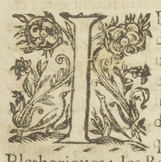 An illustration from Traicté pour la conservation de la santé, et sur la saignee de ce temps, et moyen de remedier aux maladies sans craincte de leur recheute ; avec autres traictez necessaires pour toutes sortes de personnes, en façon & ordre non encore veus, & selon la doctrine des anciens medecins grecs, arabes, latins & françois. ‎Augmenté d'un traicté de Galien, de l'alictement des malades. Apologie contre Jean Terud, fils de Louys, medecin de Paris. Examen du livre intitulé Medecin charitable. Traicté de la physiognomie, avec les figures propres, qui sont au nombre de 53. Dedié à Messieurs les Parisiens, & pourquoy ? Par David L'Aigneau provençal, conseiller & medecin ordinaire du Roy. Troisiesme edition, fort augmentée, vires acquirit eundo., 1650, leaf 23